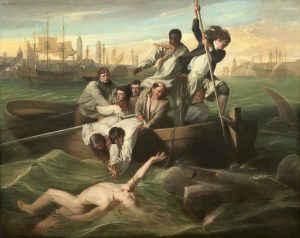 Watson And The Shark by John Singleton Copley